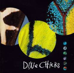 Dixie Chicks : Fly